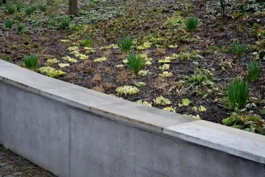 Quality Retaining Wall Installation Mount Vernon, WA