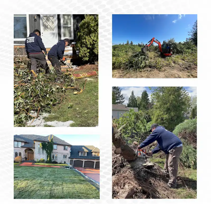 Dependable Landscaping Services