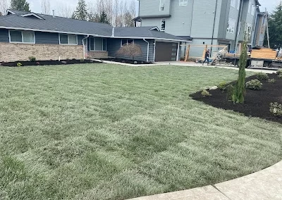 Garden Landscaping
